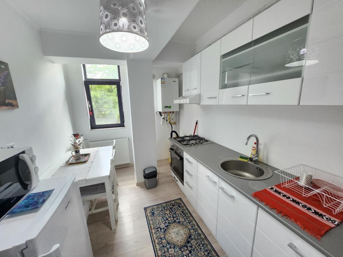 New House In Ultra Center Near Iulius & Palas Mall Jassy Zewnętrze zdjęcie