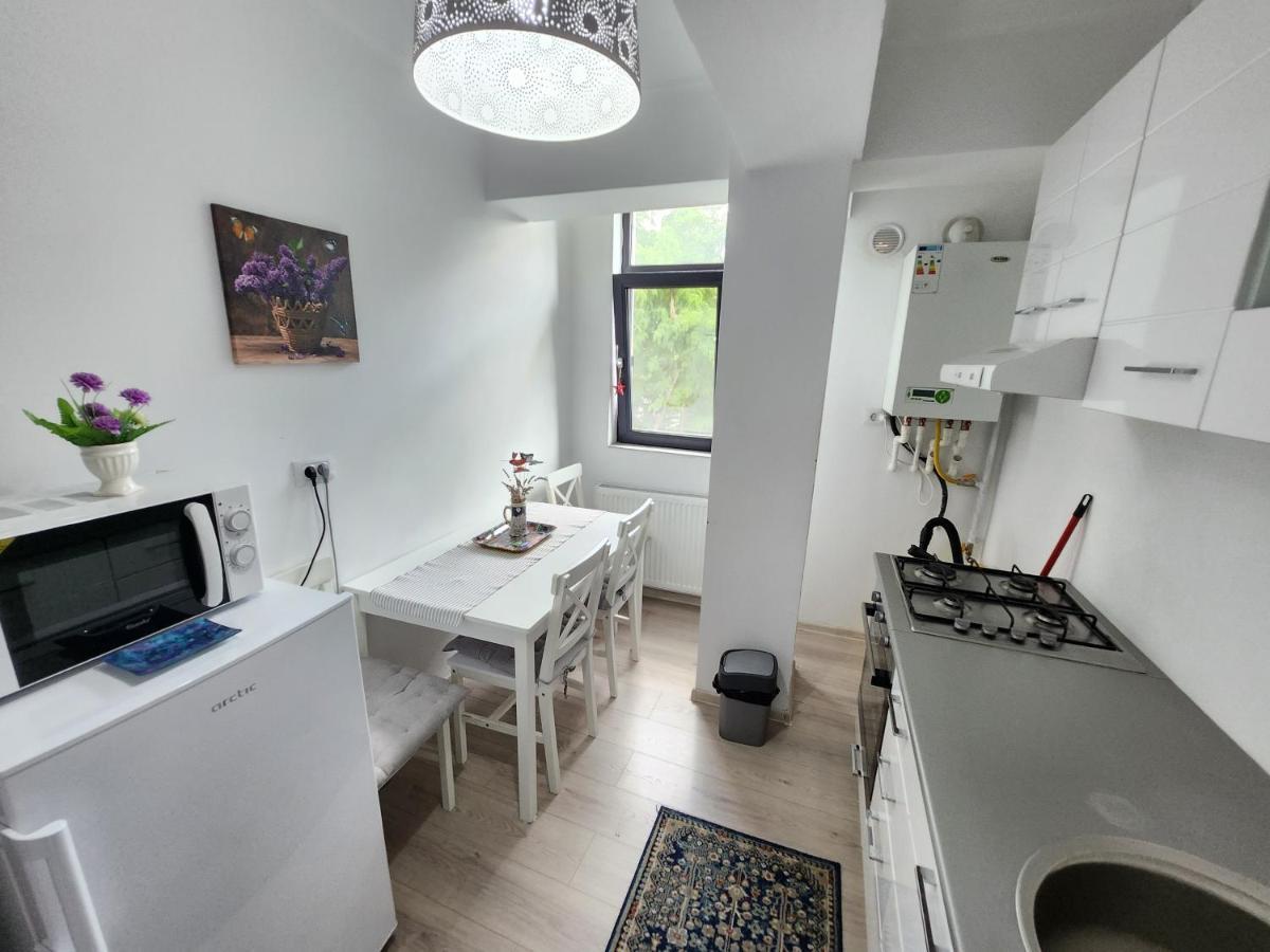 New House In Ultra Center Near Iulius & Palas Mall Jassy Zewnętrze zdjęcie