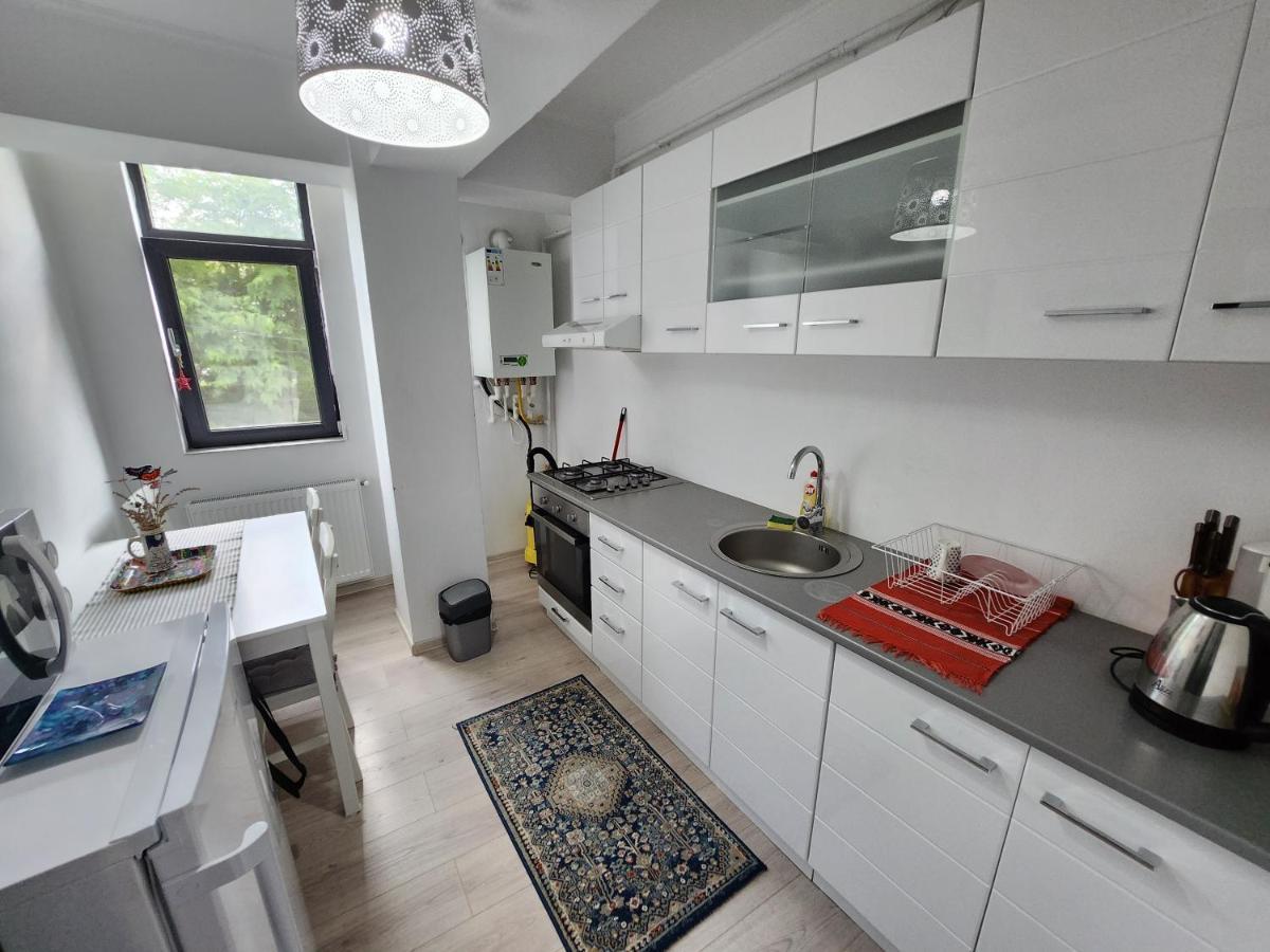 New House In Ultra Center Near Iulius & Palas Mall Jassy Zewnętrze zdjęcie